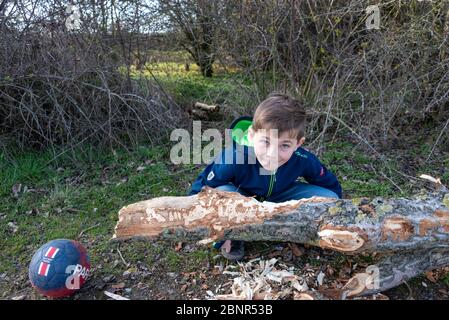 Ragazzo, mezzo ritratto, siede su un ceppo che è stato sgranato da un castoro. Foto Stock