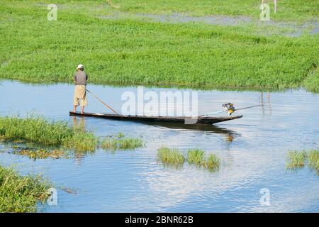 Inle Lake Myanmar - 2 novembre 2013; l'uomo si trova in pipistrello lungo tradizionale con palo nel canale tra erbacce acquatiche verdi. Foto Stock