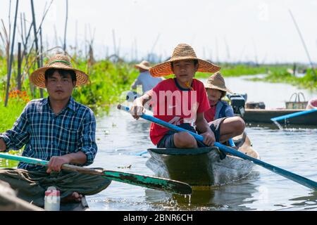 Inle Lake Myanmar - 2 novembre 2013; Inle Lake locali che pedalano barche tradizionali lungo il canale tra verdure in crescita in grandi giardini che galleggiano Foto Stock