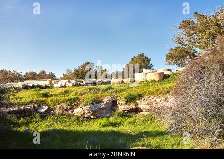 Vista sul verde paesaggio biblico e rovine archeologiche Beit Guvrin Maresha durante l'inverno, Israele. Gennaio 2019 Foto Stock