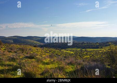 Vista sul verde paesaggio biblico e rovine archeologiche Beit Guvrin Maresha durante l'inverno, Israele. Gennaio 2019 Foto Stock