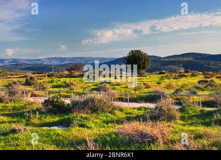 Vista sul verde paesaggio biblico e rovine archeologiche Beit Guvrin Maresha durante l'inverno, Israele. Gennaio 2019 Foto Stock