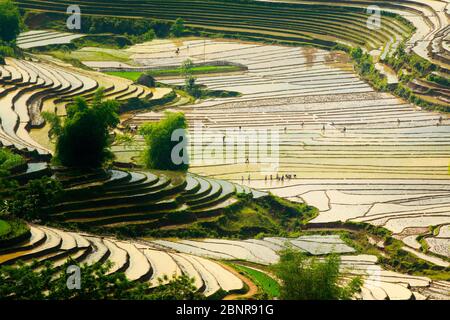 Y TY, LAO CAI, VIETNAM - 9 MAGGIO 2020: Agricoltori etnici che lavorano in modo tradizionale sulle terrazze per un nuovo raccolto utilizzando l'acqua naturale delle montagne. Foto Stock