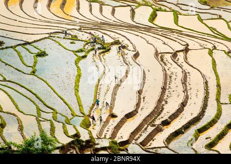 Y TY, LAO CAI, VIETNAM - 9 MAGGIO 2020: Agricoltori etnici che lavorano in modo tradizionale sulle terrazze per un nuovo raccolto utilizzando l'acqua naturale delle montagne. Foto Stock