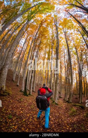 Parco Nazionale delle foreste Casentinesi, Badia Prataglia, Toscana, Italia, Europa. Una persona sta scattando le foto nel legno. Foto Stock