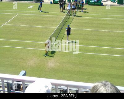 Un campo da tennis in erba a Birmingham, Inghilterra, Regno Unito. Il Nature Valley Classic il 22 giugno 2018 per le finali dei quarti femminili Foto Stock