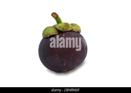 Un Mangosteen (Garcinia mangostana) è un frutto esotico tropicale dal sapore leggermente dolce e acidulo, isolato su sfondo bianco. Foto Stock