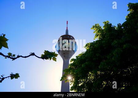 Torre del Reno (in tedesco: Rheinturm), il punto di riferimento di Düsseldorf, che si presenta come un gioiello nella retroilluminazione del sole del pomeriggio. Foto Stock