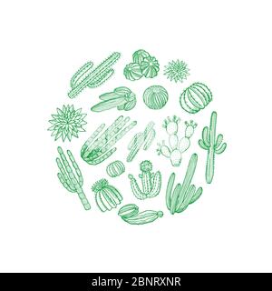 Vettore mano disegnati cactus piante del deserto in figura di cerchio Illustrazione Vettoriale