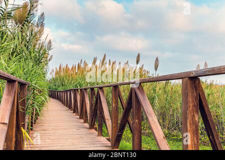 ponte di legno per andare alla spiaggia e proteggere le dune e la vegetazione Foto Stock