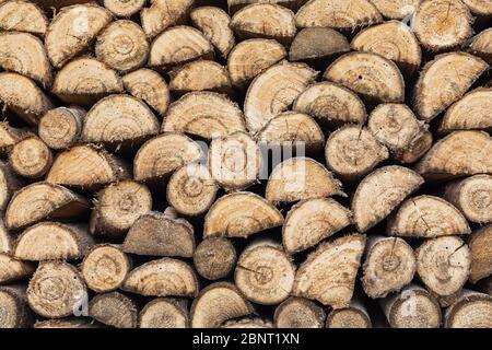 Pile di legno stratificate con precisione da legna da ardere tagliata, materiale riscaldante, rimboschimento sostenibile Foto Stock