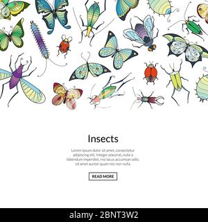 Vettore mano disegnato insetti colorato banner web Illustrazione Vettoriale