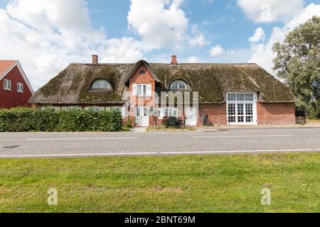 Tipica casa colonica con tetto di paglia in estate di un villaggio danese. Concetto di architettura Foto Stock