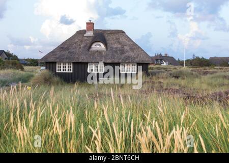 Tipica piccola casa danese di legno nero con tetto di paglia nel mezzo di un campo. Concetto di architettura Foto Stock