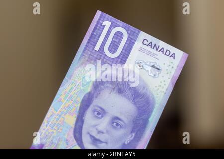 Persone mano dando la valuta del Canada - un viola dieci banconote da dollaro con Viola Desmond sparso su uno sfondo marrone. Cambio di denaro. Vi Foto Stock