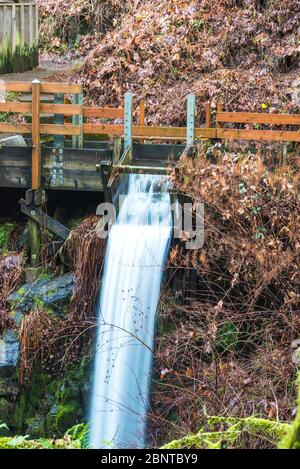 Scena del Cedar Creek mulino grist al mattino, Washington, usa. Foto Stock