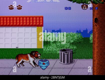 Beethoven's 2nd - SNES Super Nintendo - solo per uso editoriale Foto Stock