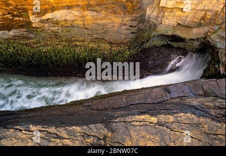 Thunder Hole si trova vicino al Park Loop Road presso l'Acadia National Park, sull'isola di Mount Desert nel Maine. Il Parco Nazionale di Acadia è stato il primo nato Foto Stock