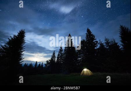 Vista fantastica del cielo stellato notturno sul prato. Splendido scenario di tenda turistica illuminata in foresta con alberi di conifere sotto il cielo blu con stelle. Concetto di viaggio, escursioni e campeggio.
