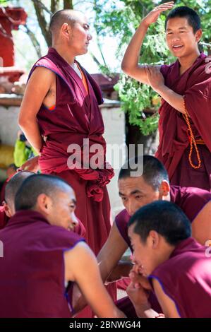 Le dispute dei monaci nel cortile di discussione del Monastero di sera, Lhasa, Tibet. I dibattiti tra i monaci sulle dottrine del buddismo tibetano. Sera Monastero è Foto Stock