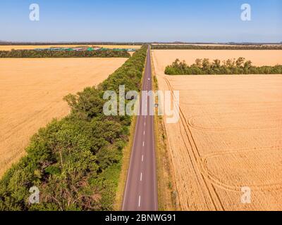 Veduta aerea di una stretta strada di campagna asfaltata grigia, che attraversa un paesaggio con campi e prati. Foto Stock