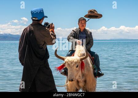 Ridicolo turista cinese sul yak indietro nel lago di Namtso o lago di Nam tso in Tibet Cina. Il lago Nam Tso è il secondo lago più grande del Tibet, e uno dei laghi Foto Stock