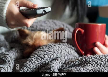 Donna che si rilassa a casa con il suo animale domestico, tenendo una bevanda calda e il telecomando della tv Foto Stock