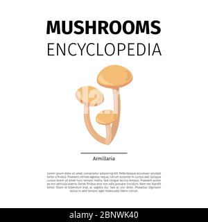 Funghi Enciclopedia disegno vettoriale. Armillaria funghi icona su sfondo bianco Illustrazione Vettoriale