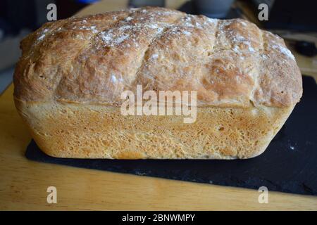 Pane croccante appena sfornato di pane bianco fatto in casa contiene glutine, ma è adatto per vegetariani che si cuoce a casa utilizzando un negozio acquistato farina di lievito mix Foto Stock