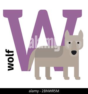 Alfabeto inglese di animali zoo con lettera W. Wolf e lettera vettore illustrazione Illustrazione Vettoriale