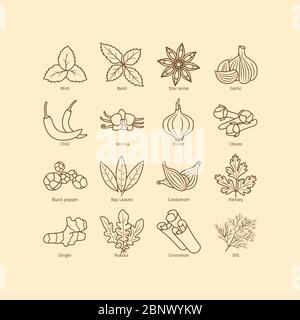 Condimenti e spezie icone di linea impostato su sfondo vintage. Illustrazione vettoriale Illustrazione Vettoriale