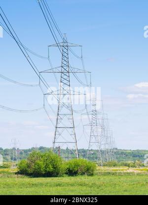 Fila di piloni in giornata di sole in campo, Frodsham Cheshire Inghilterra UK elettricità pilone inglese pilone inghilterra distribuzione rete nazionale Foto Stock