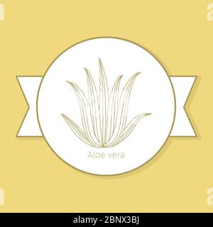 Pianta medicinale di Aloe vera, etichetta gialla a forma di cerchio e ombra piatta. Illustrazione vettoriale Illustrazione Vettoriale