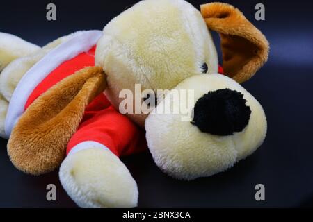 Un giocattolo per bambini morbido, un cane d'edera in un tappeto rosso e orecchie marroni si trovano su uno sfondo nero. Foto Stock