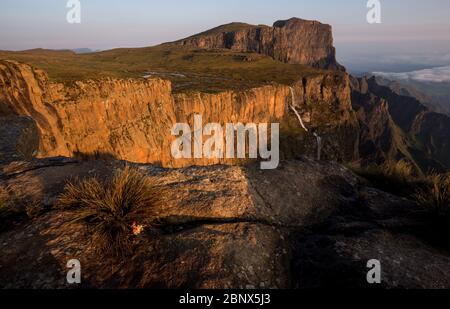 tugela cade dalla cima dell'anfiteatro, drakensberg, kwazulu natal Foto Stock