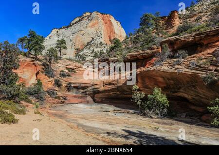 Le numerose piscine 'Trail' nel Parco Nazionale di Zion, Utah. Foto Stock