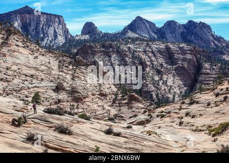 Le numerose piscine 'Trail' nel Parco Nazionale di Zion, Utah. Foto Stock