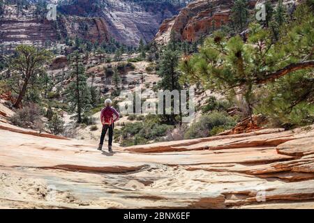 Le numerose piscine 'Trail' nel Parco Nazionale di Zion, Utah. Foto Stock