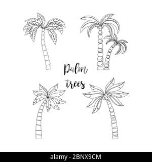 Palme bellissimo set. Elementi per colorare pagine di libri, isolati su sfondo bianco. Icone vettoriali Illustrazione Vettoriale