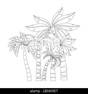 Palme per colorare pagine di libro disegno, isolato su sfondo bianco. Illustrazione vettoriale Illustrazione Vettoriale