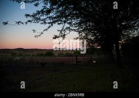 Luna sorge su una fattoria di pecore, il Karoo, Sudafrica Foto Stock
