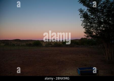 Luna sorge su una fattoria di pecore, il Karoo, Sudafrica Foto Stock