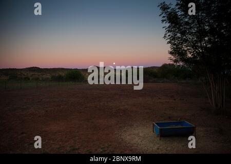 Luna sorge su una fattoria di pecore, il Karoo, Sudafrica Foto Stock