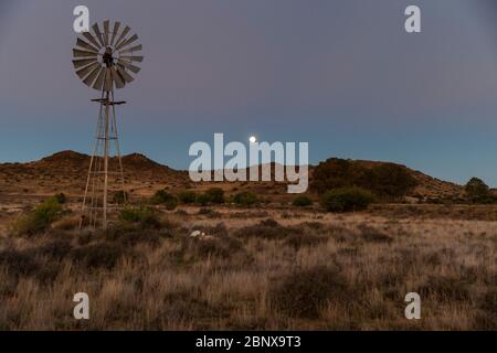 Luna sorge su una fattoria di pecore, il Karoo, Sudafrica Foto Stock