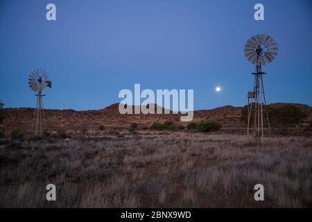 Luna sorge su una fattoria di pecore, il Karoo, Sudafrica Foto Stock