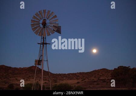 Luna sorge su una fattoria di pecore, il Karoo, Sudafrica Foto Stock