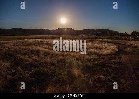 Luna sorge su una fattoria di pecore, il Karoo, Sudafrica Foto Stock
