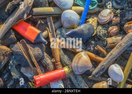 Primo piano di una scena di inquinamento su una spiaggia: Un pennarello di plastica e una conchiglia di fucile lavati a terra insieme a conchiglie morte e cozze. Ambiente Foto Stock