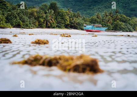 Nave sulla spiaggia tropicale durante la bassa marea. Mahe, Seychelles sabbia laguna vista costa con palme e giungla sullo sfondo Foto Stock