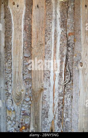 Sfondo. Recinzione in legno non verniciato in tavole grezze Foto Stock